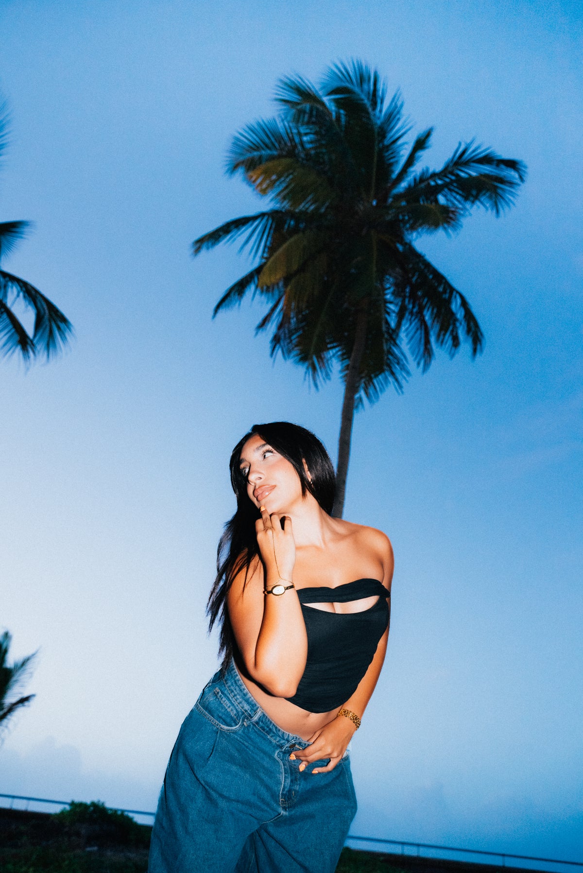 MIDNIGHT THEORY TOP