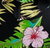 Tropical